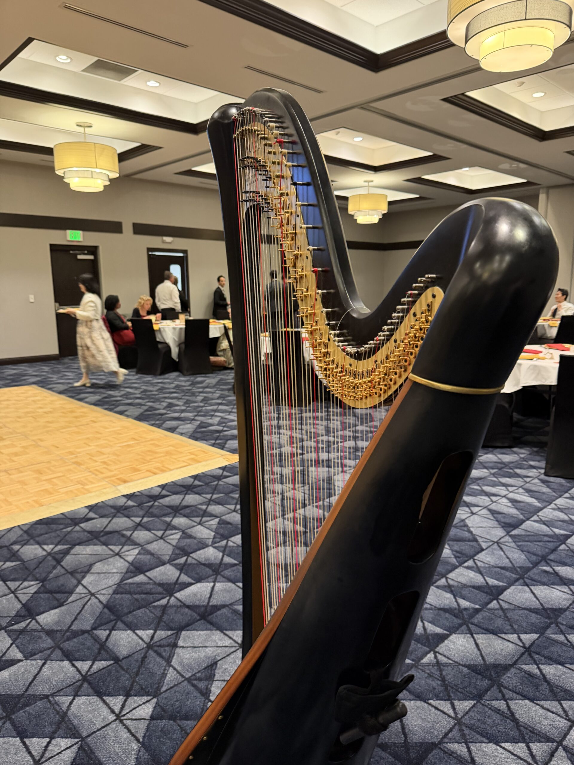 Wedding Harpist Lafayette IN