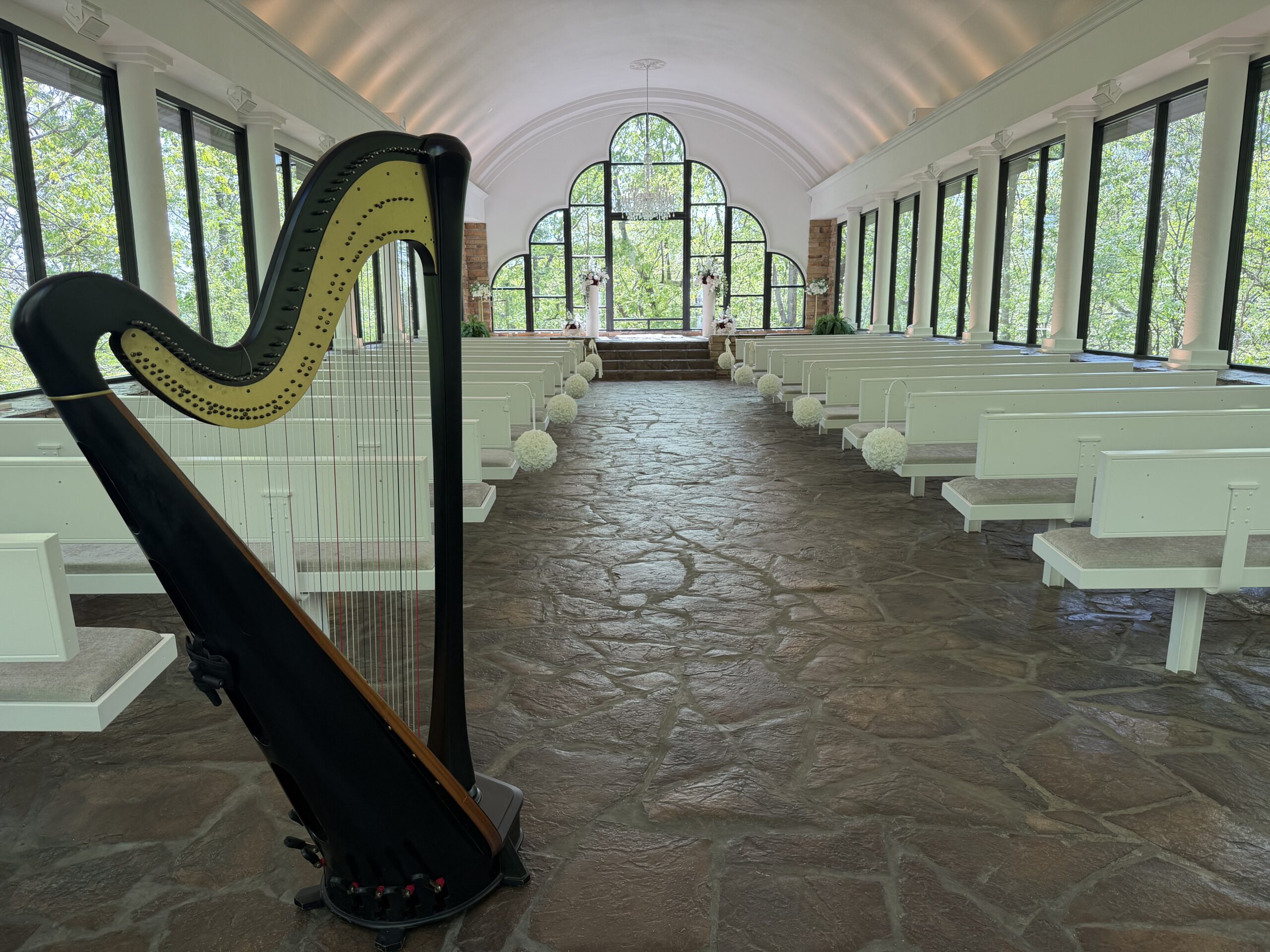 Branson Harpist