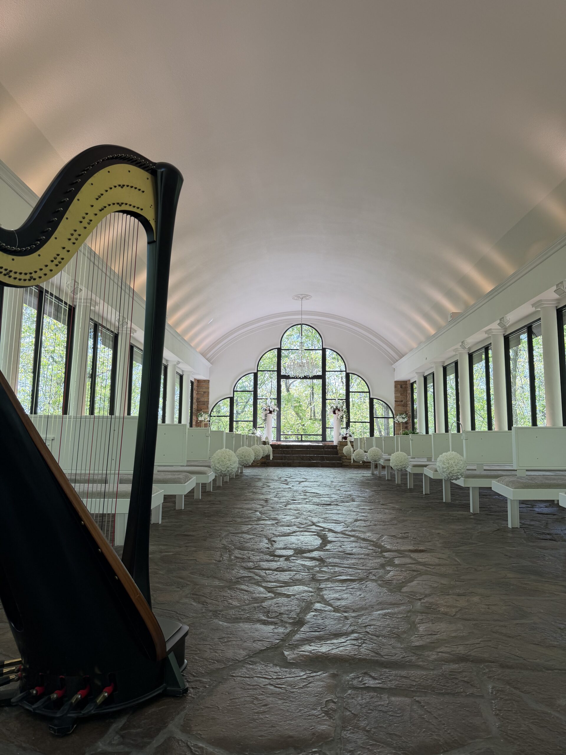 Harpist in Branson MO