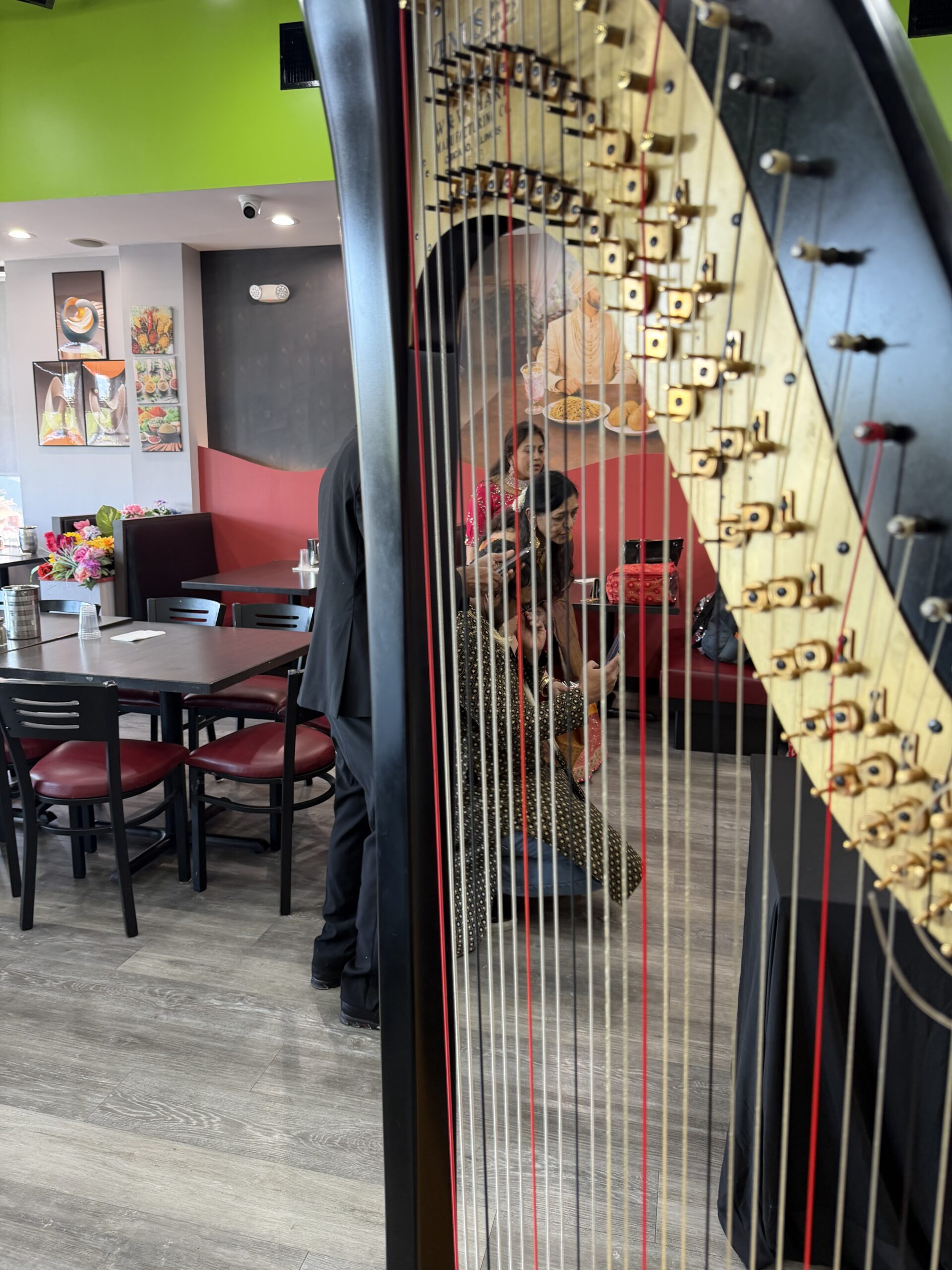 Bollywood Harpist Chicago