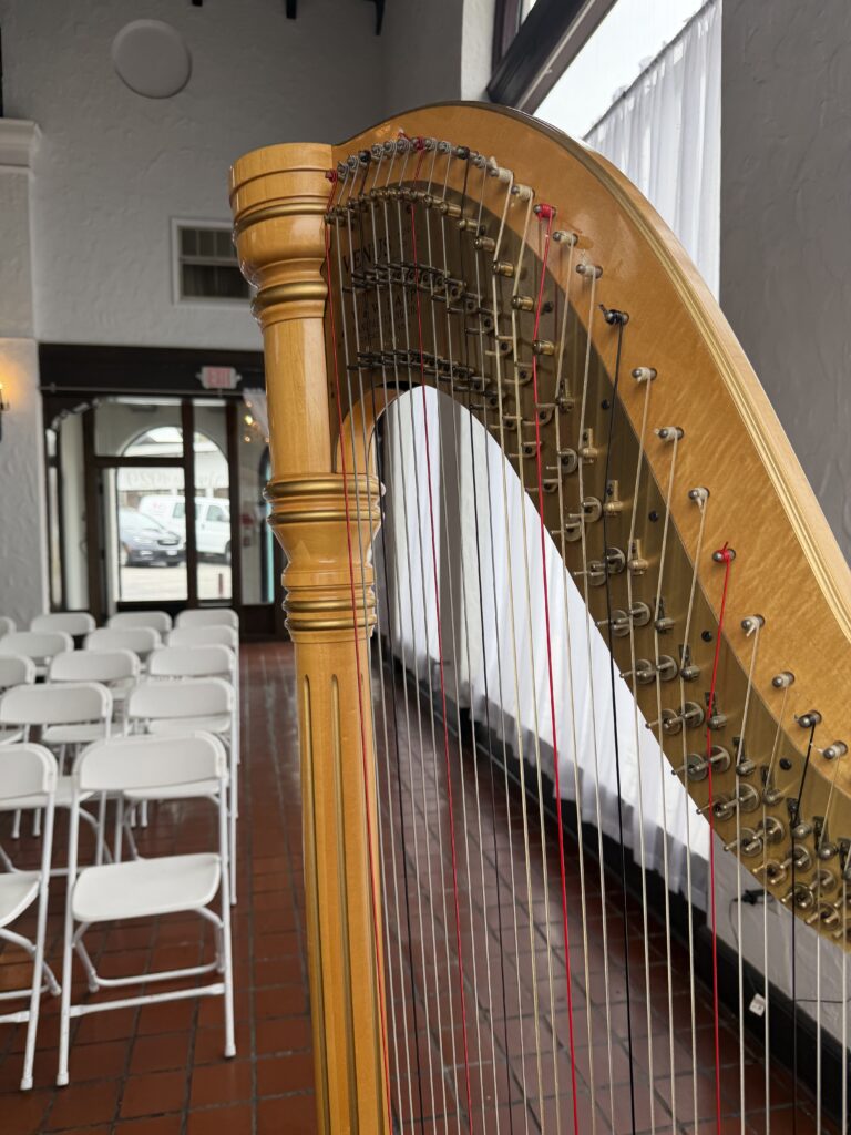 Springfield Harpist