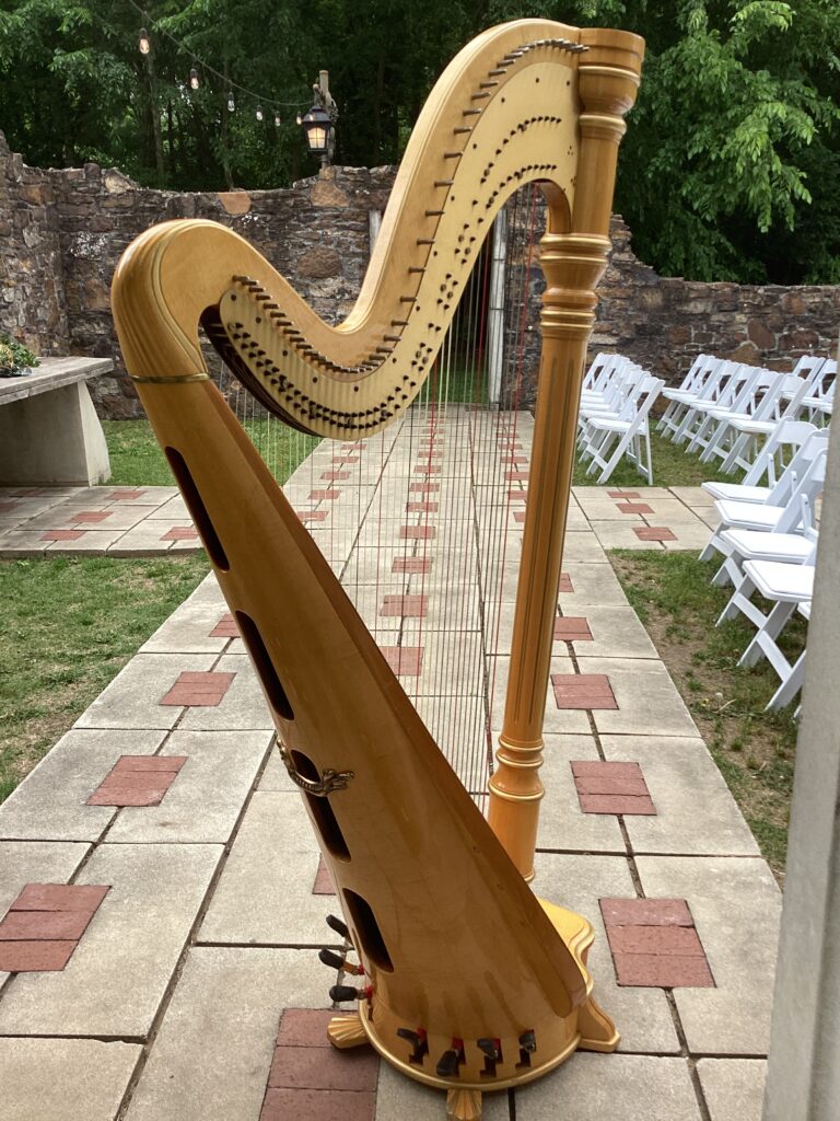 Northwest Arkansas Harpist