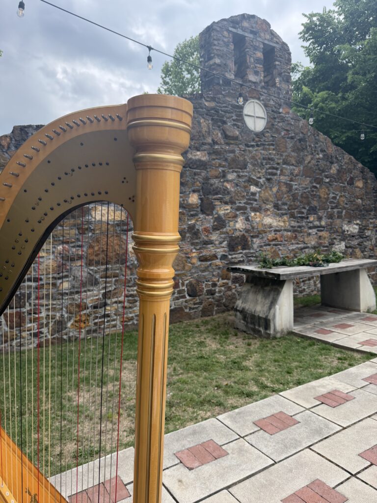 Bentonville AR Harpist