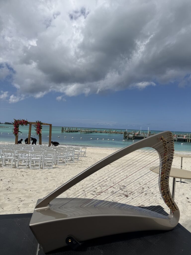 Harp Player in Nassau