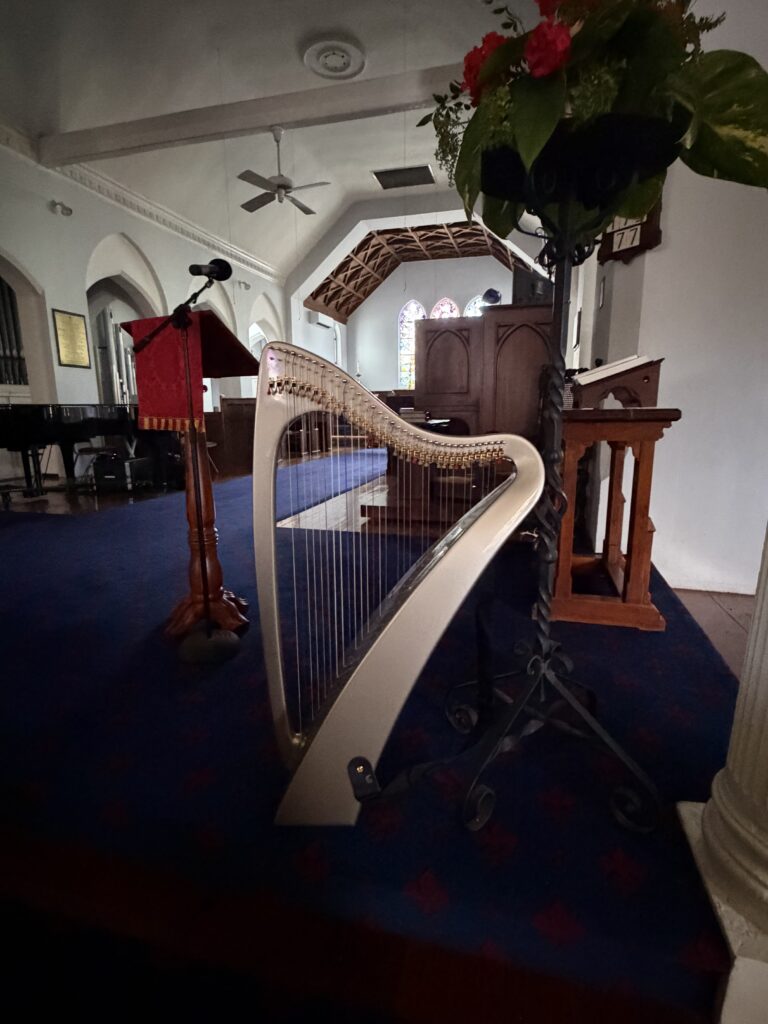 Bermuda Harpist