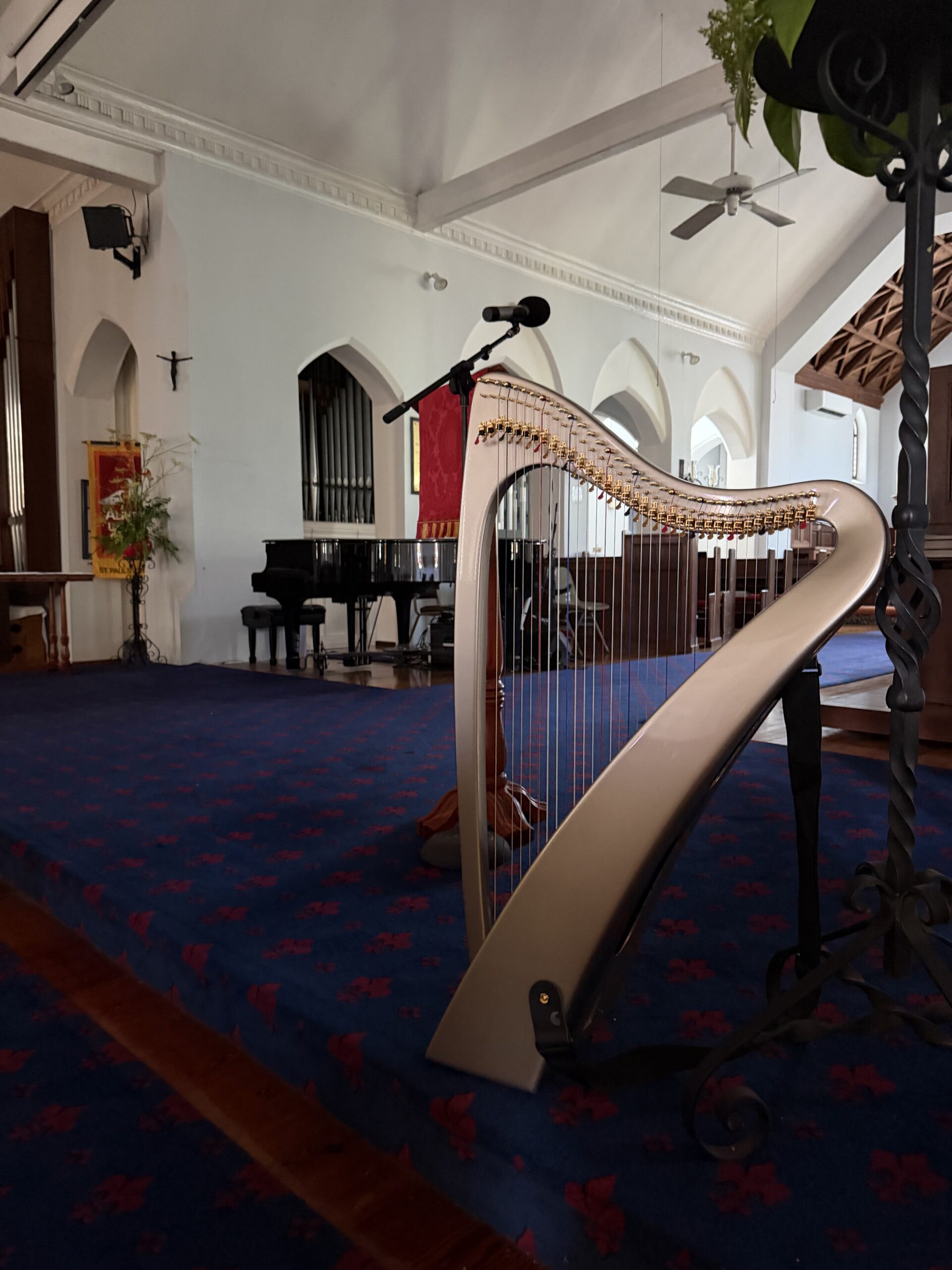 Bermuda Harpist for Weddings