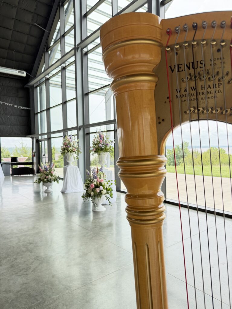 Kansas Wedding Harpist