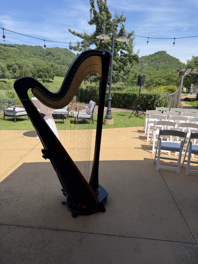Harpist for Weddings in Minnesota