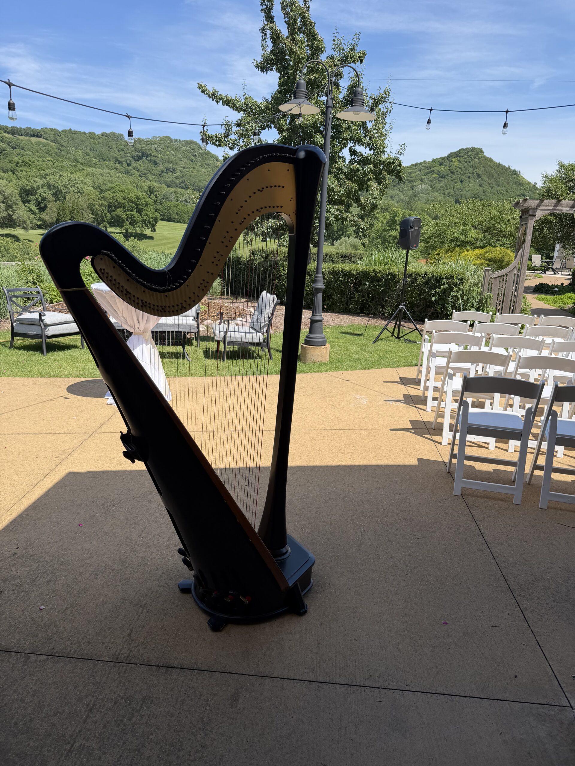 Harpist for Weddings in Minnesota