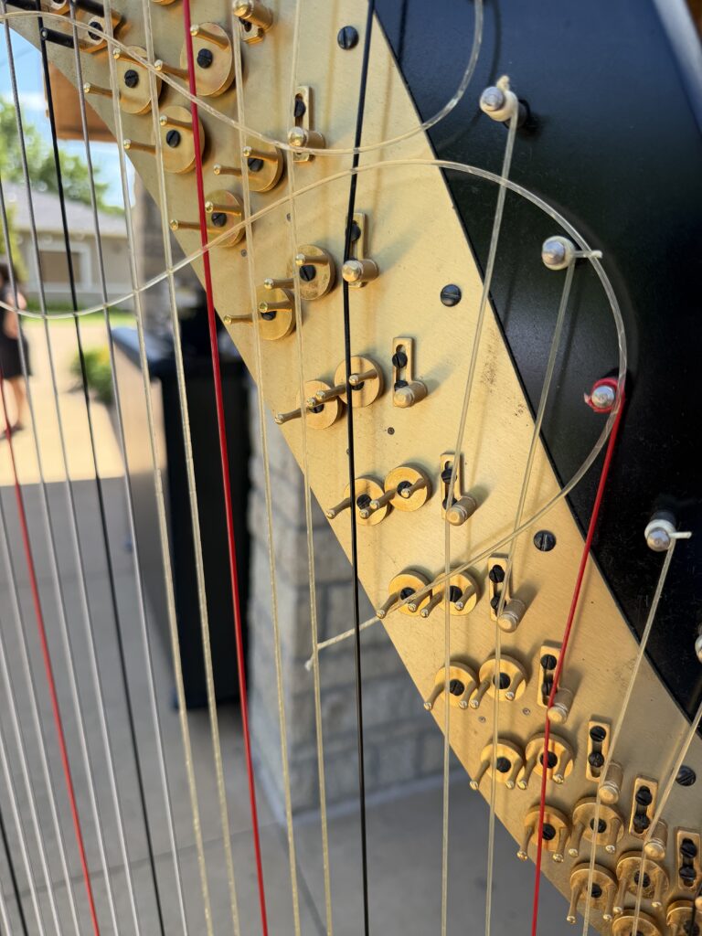Why You Hire a Professional Harpist