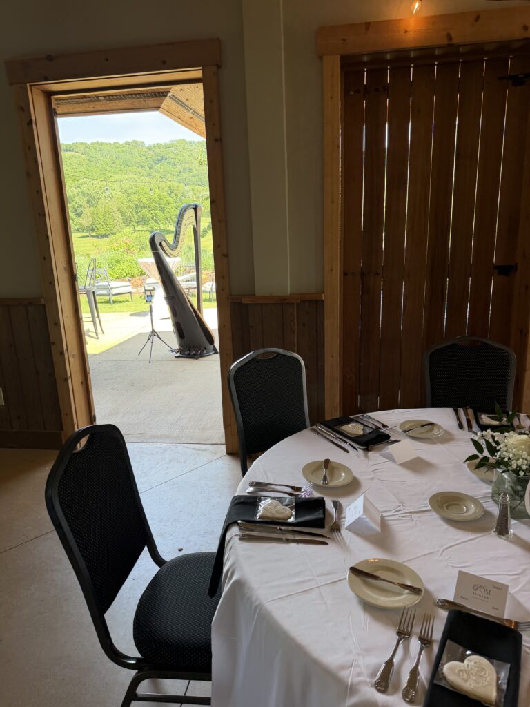 Winona Wedding Harpist