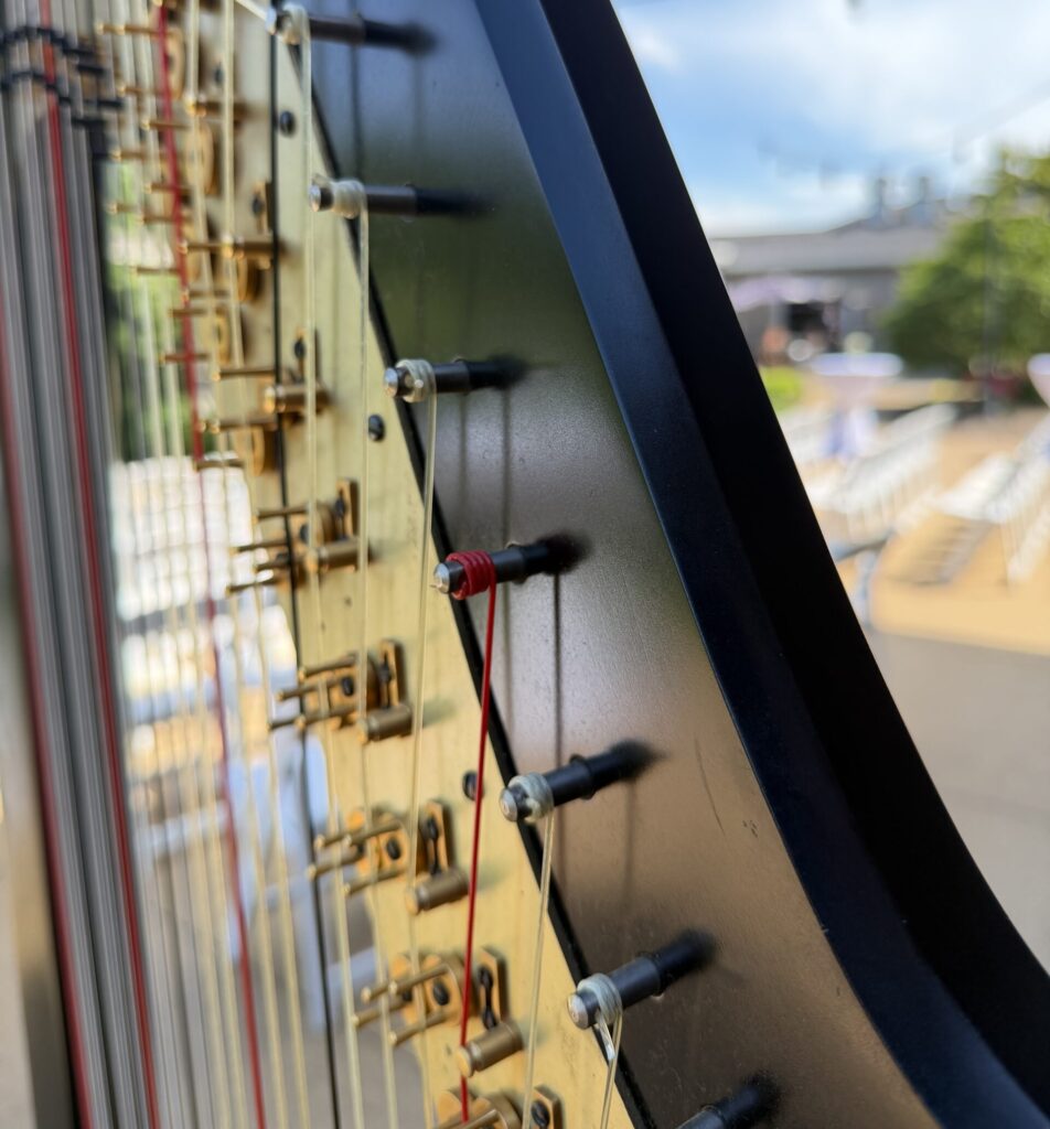 Minnesota Wedding Harpist
