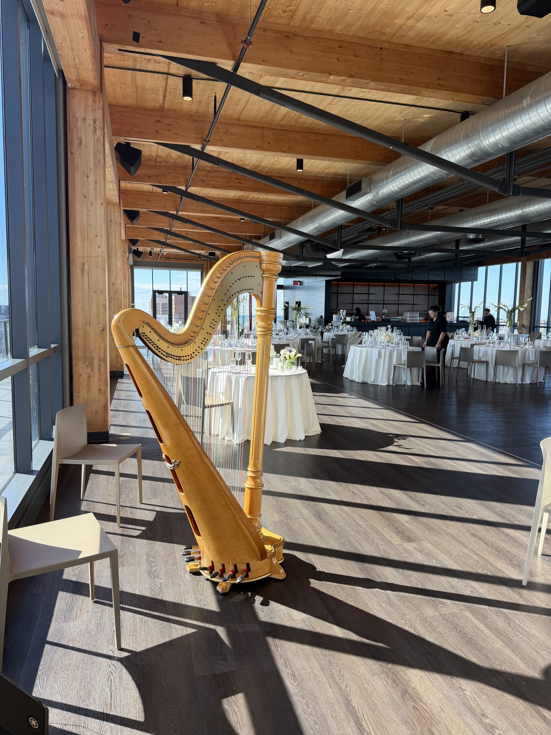 Cleveland Harpist for Weddings