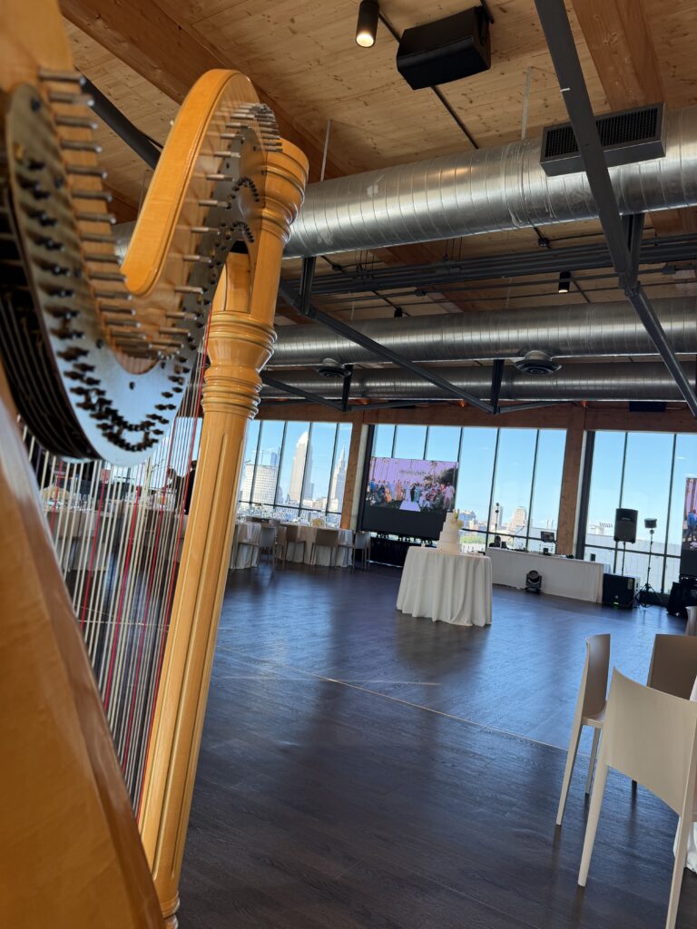 Hire a Harpist in Cleveland