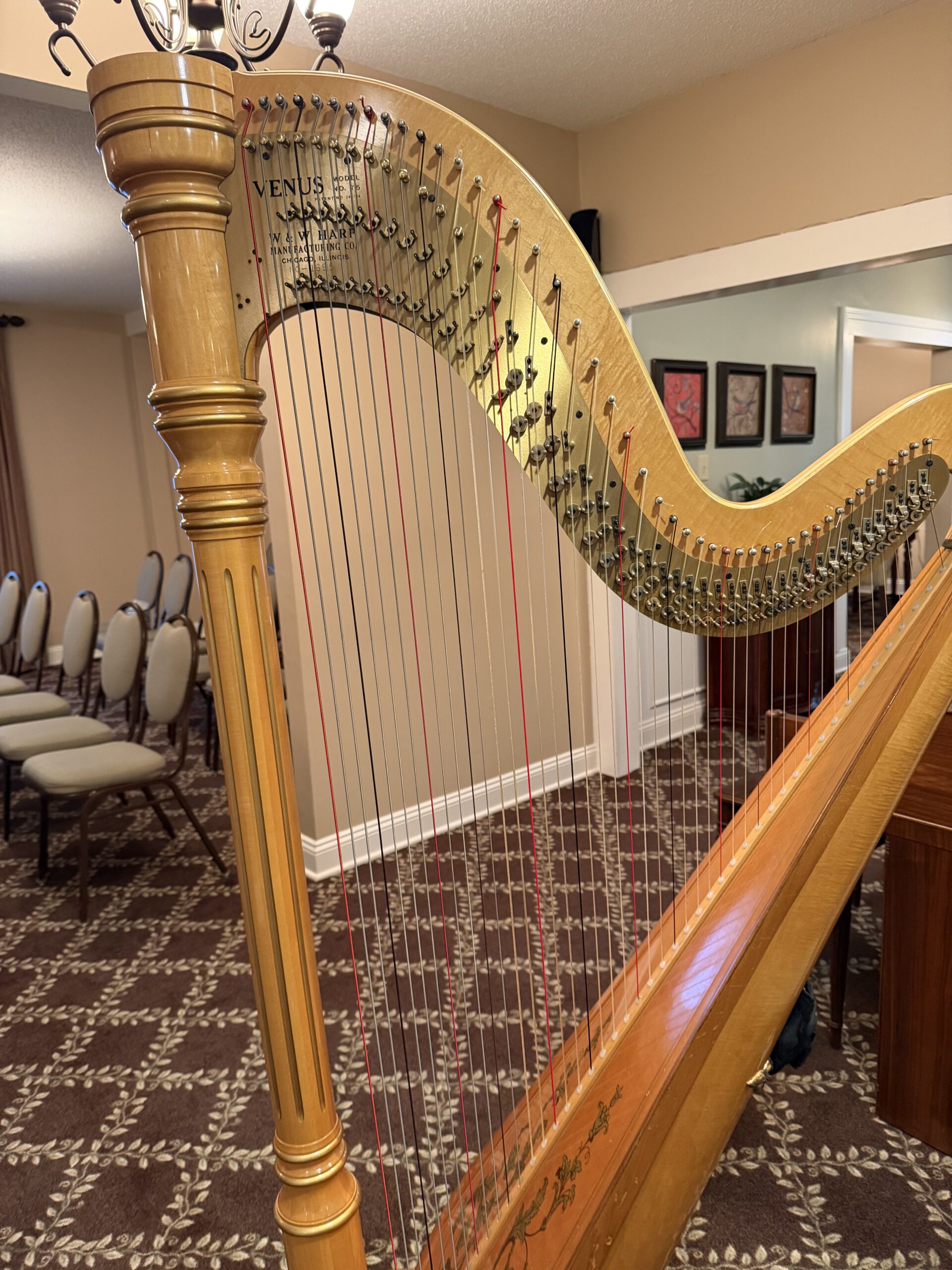 Harpist for Funerals in Central Illinois