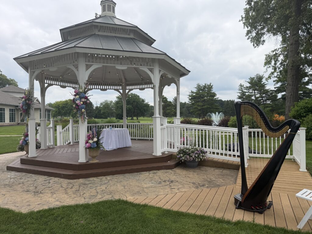 Harpist in Northern Indiana