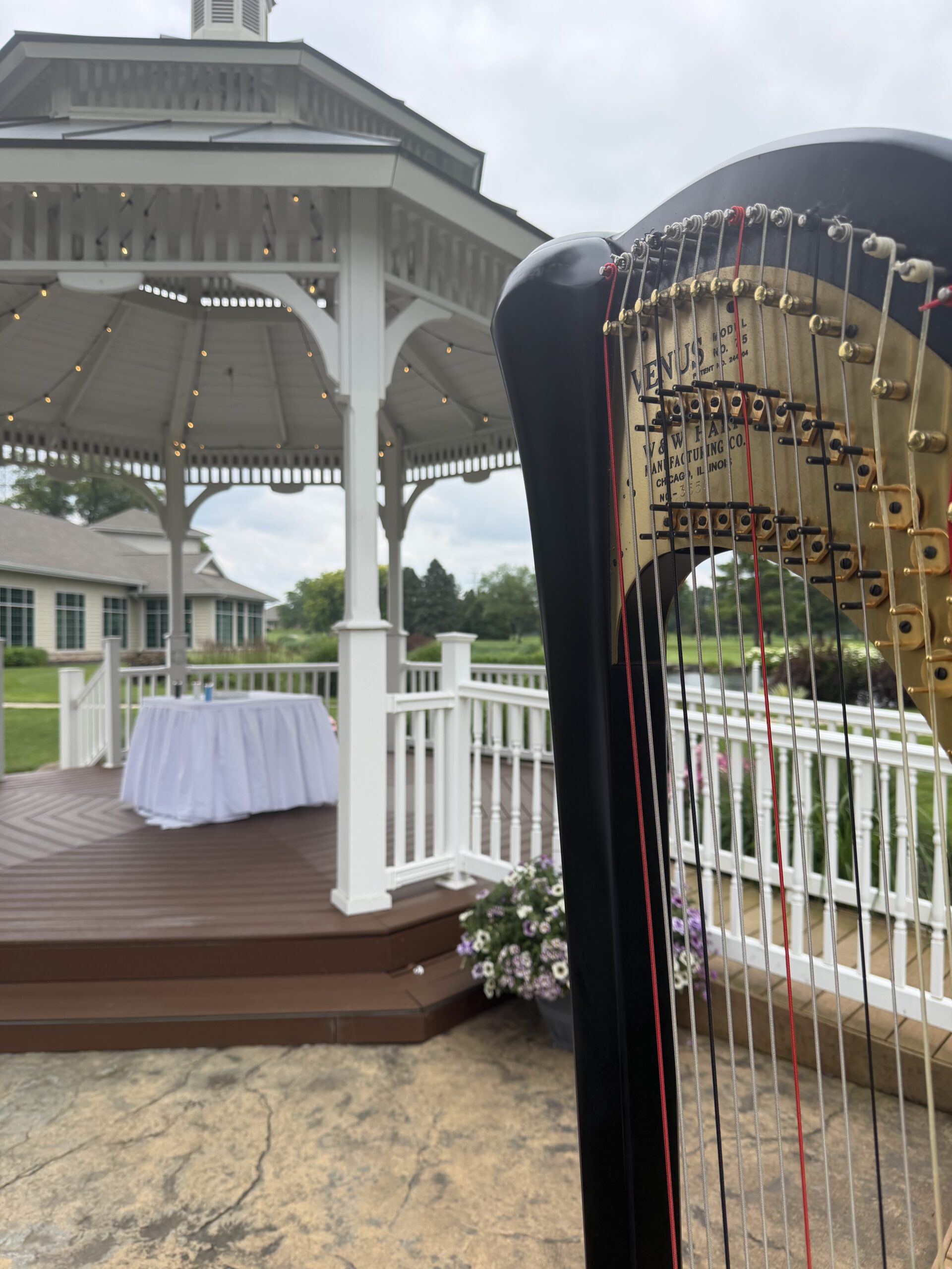 Northern Indiana Wedding Harpist