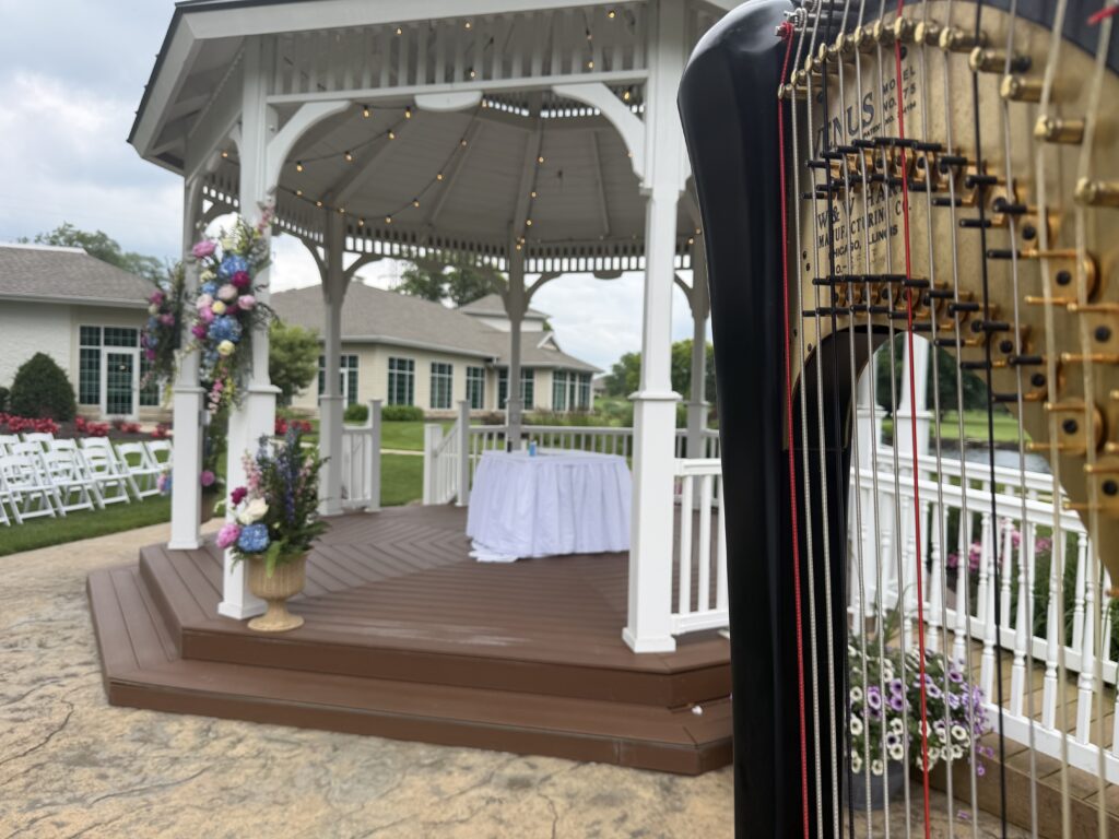 South Bend Wedding Harpist
