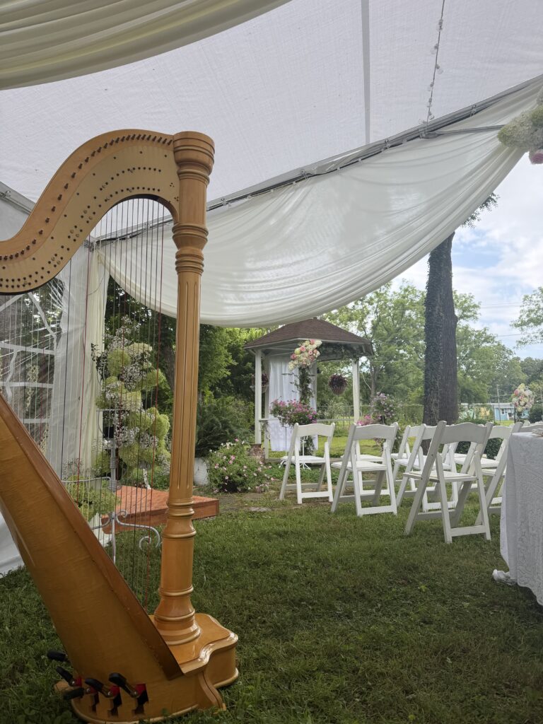 West Plains MO Harpist
