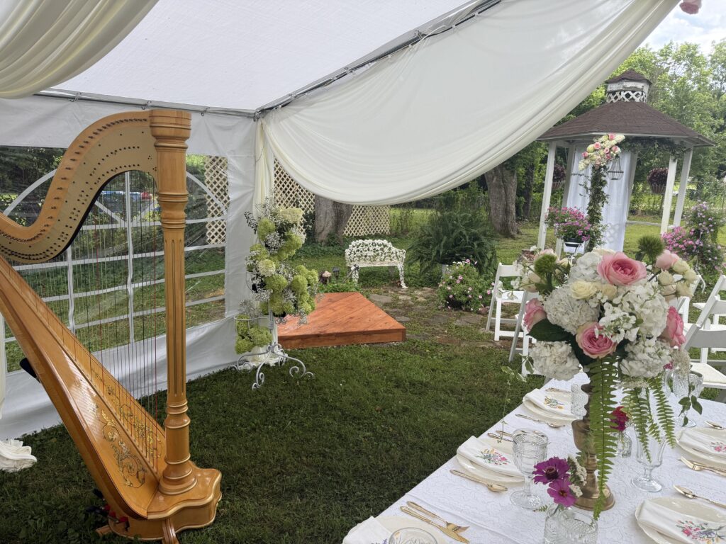 West Plains MO Wedding Harpist