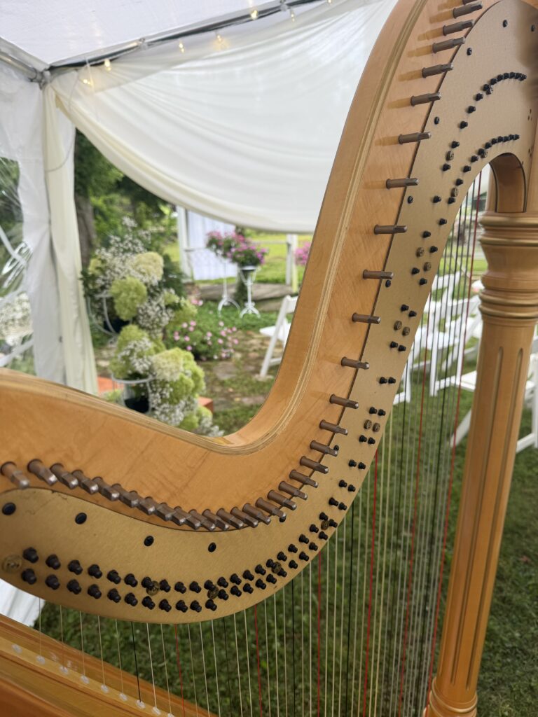 Harp Music in West Plains MO