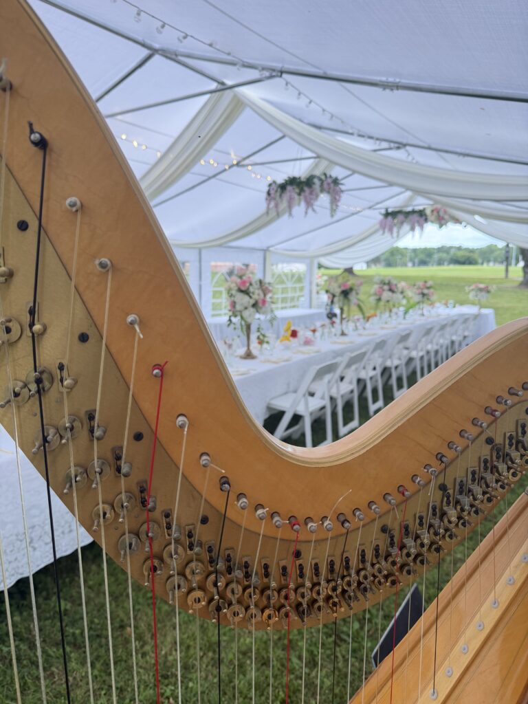 Hire a Harpist in West Plains MO