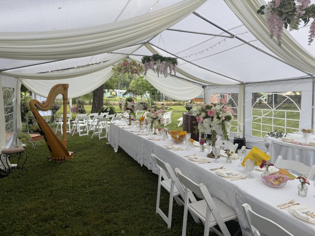 West Plains Harpist