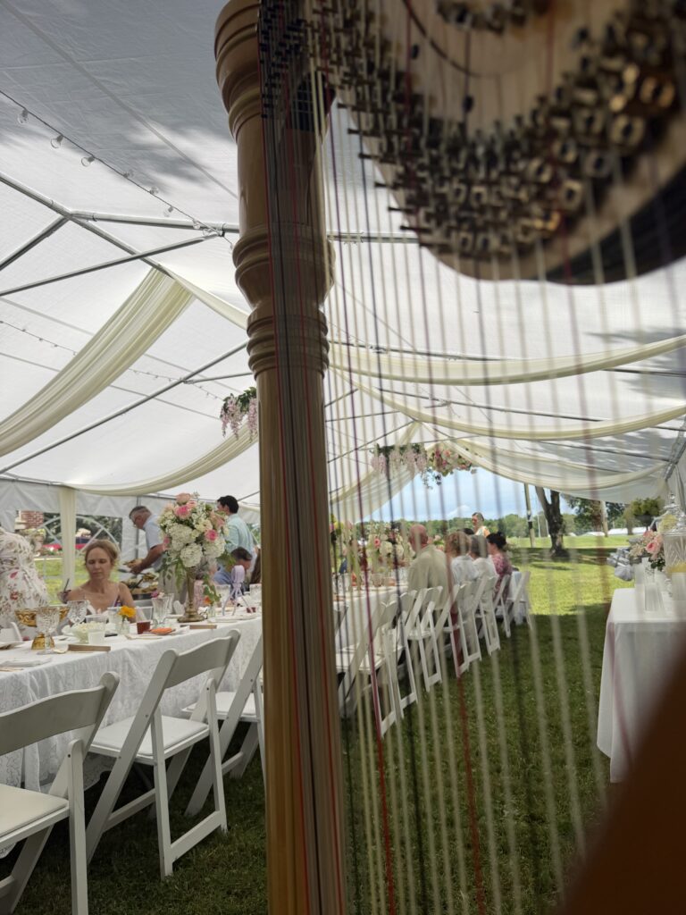 Live Wedding Music West Plains MO