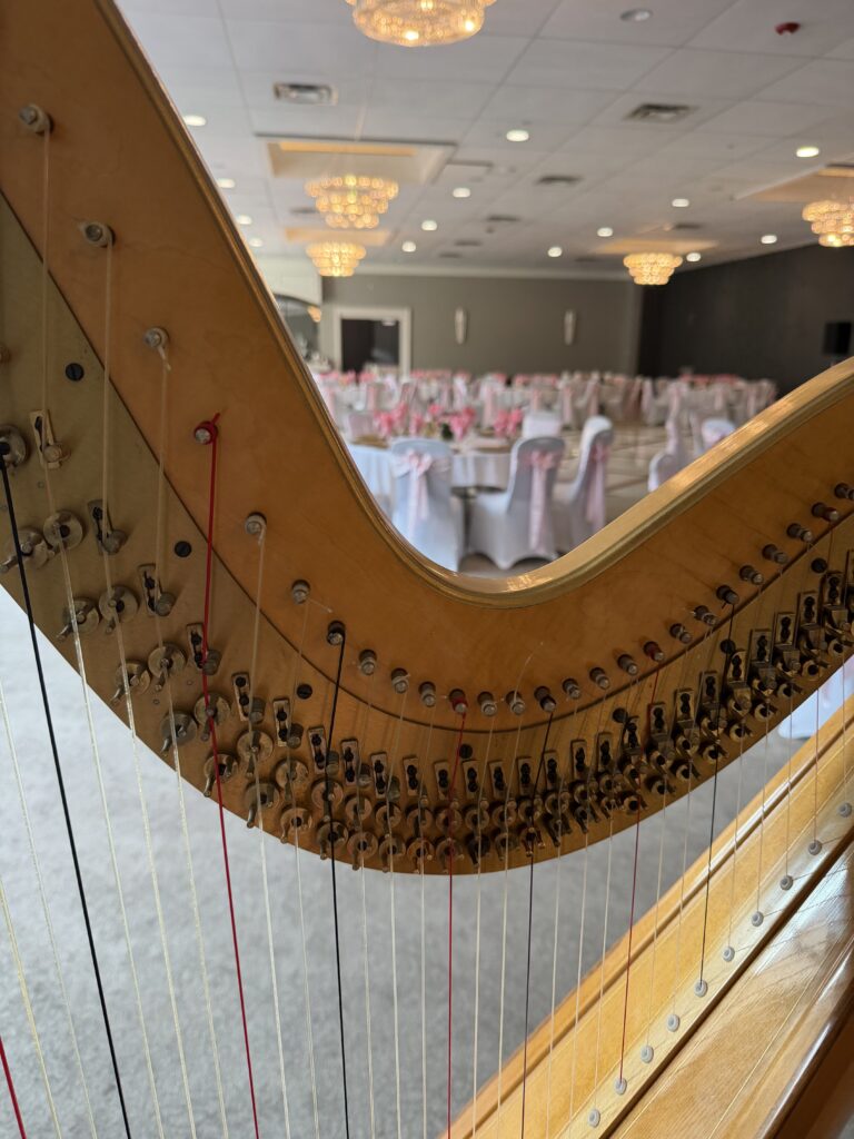 Detroit Quinceañera harpist