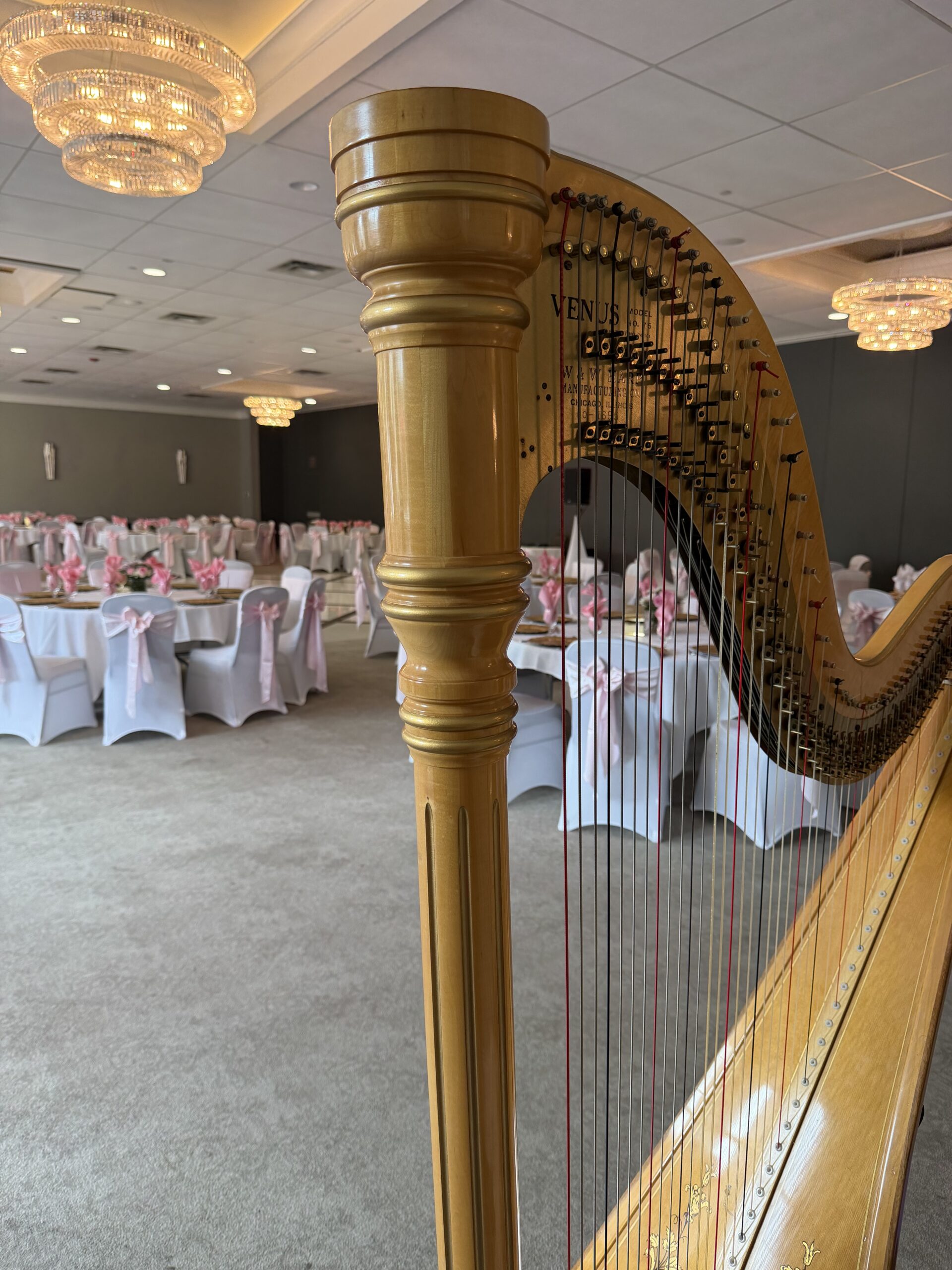 detroit harpist