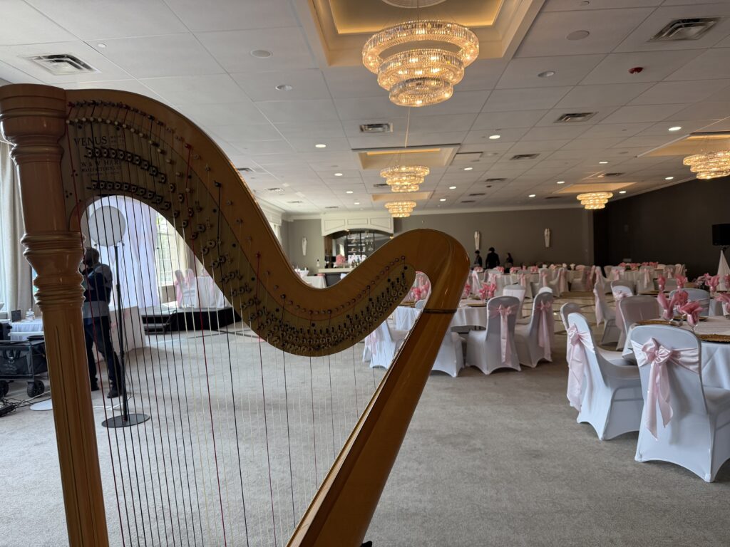 Quinceañera musician