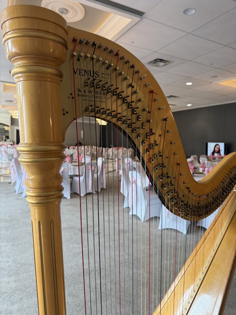 live music for Quinceañera