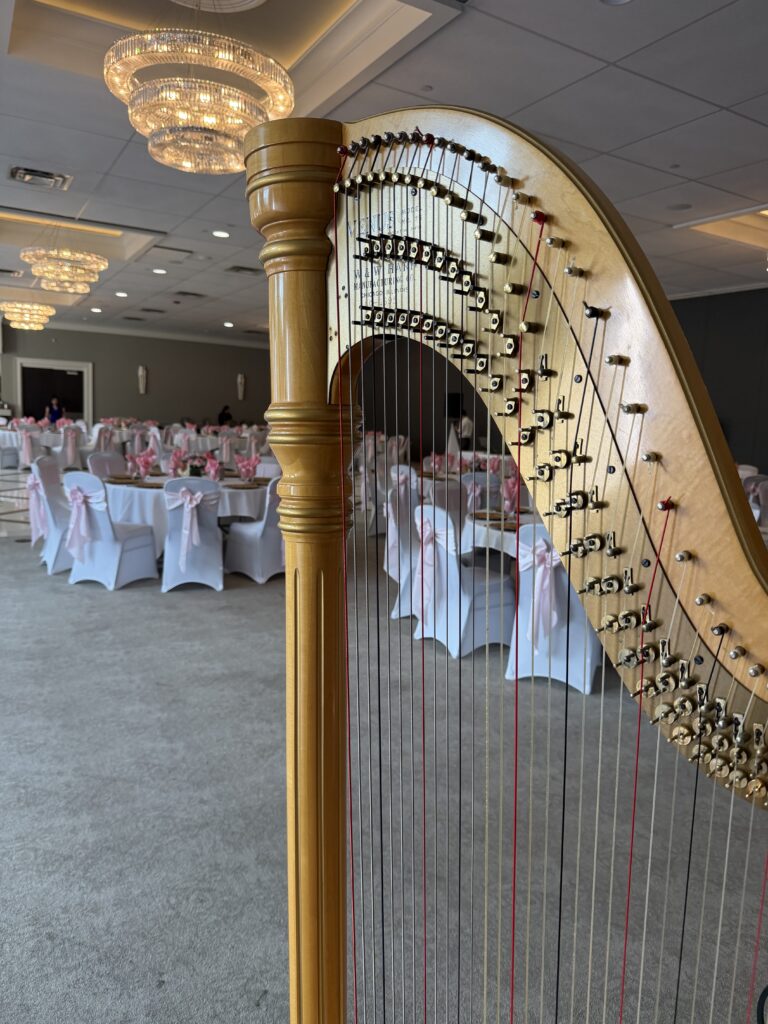 harp music for Quinceañera