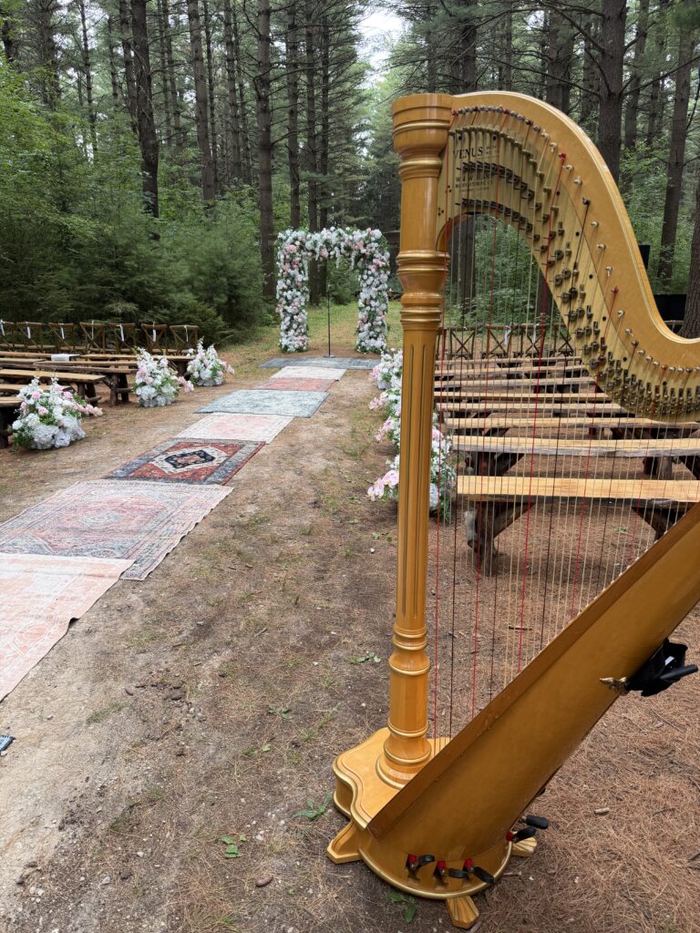 Milwaukee Harpist
