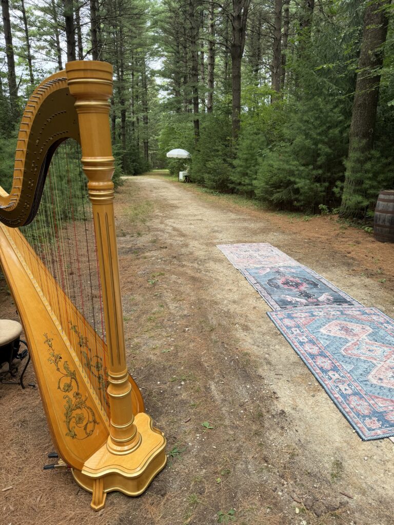 Port Washington Harpist