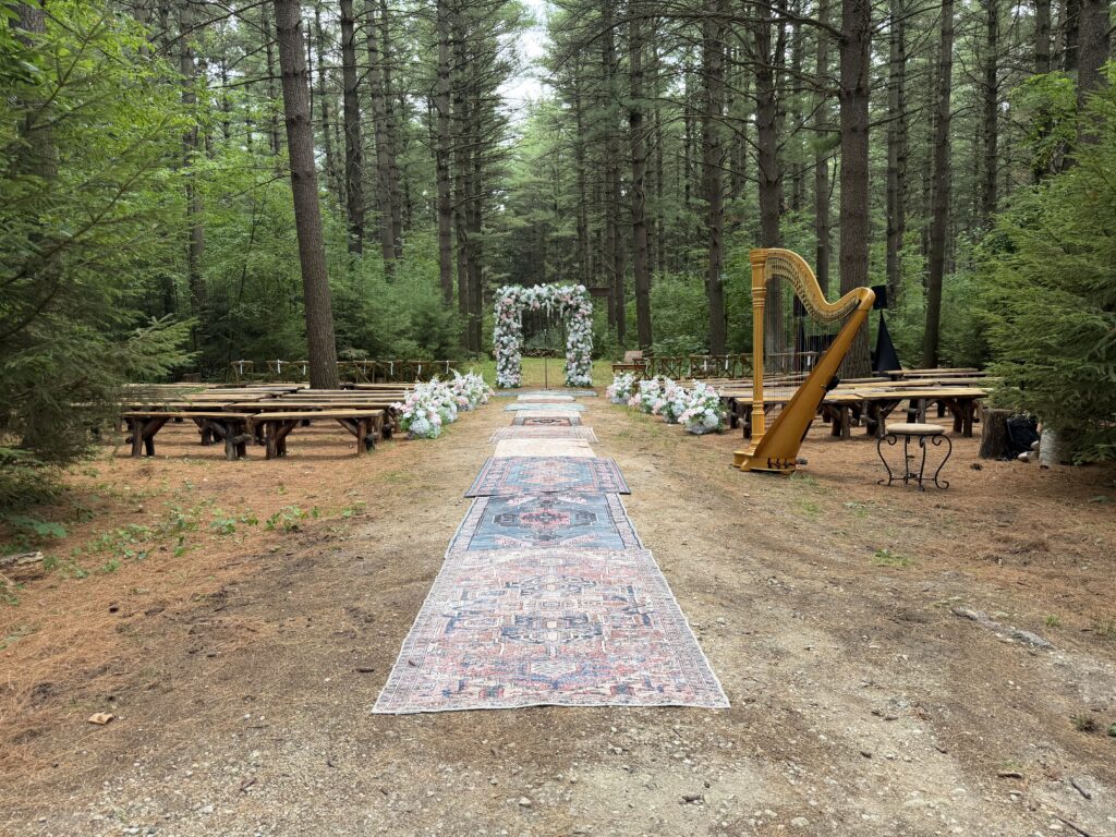Milwaukee Wedding Harpist