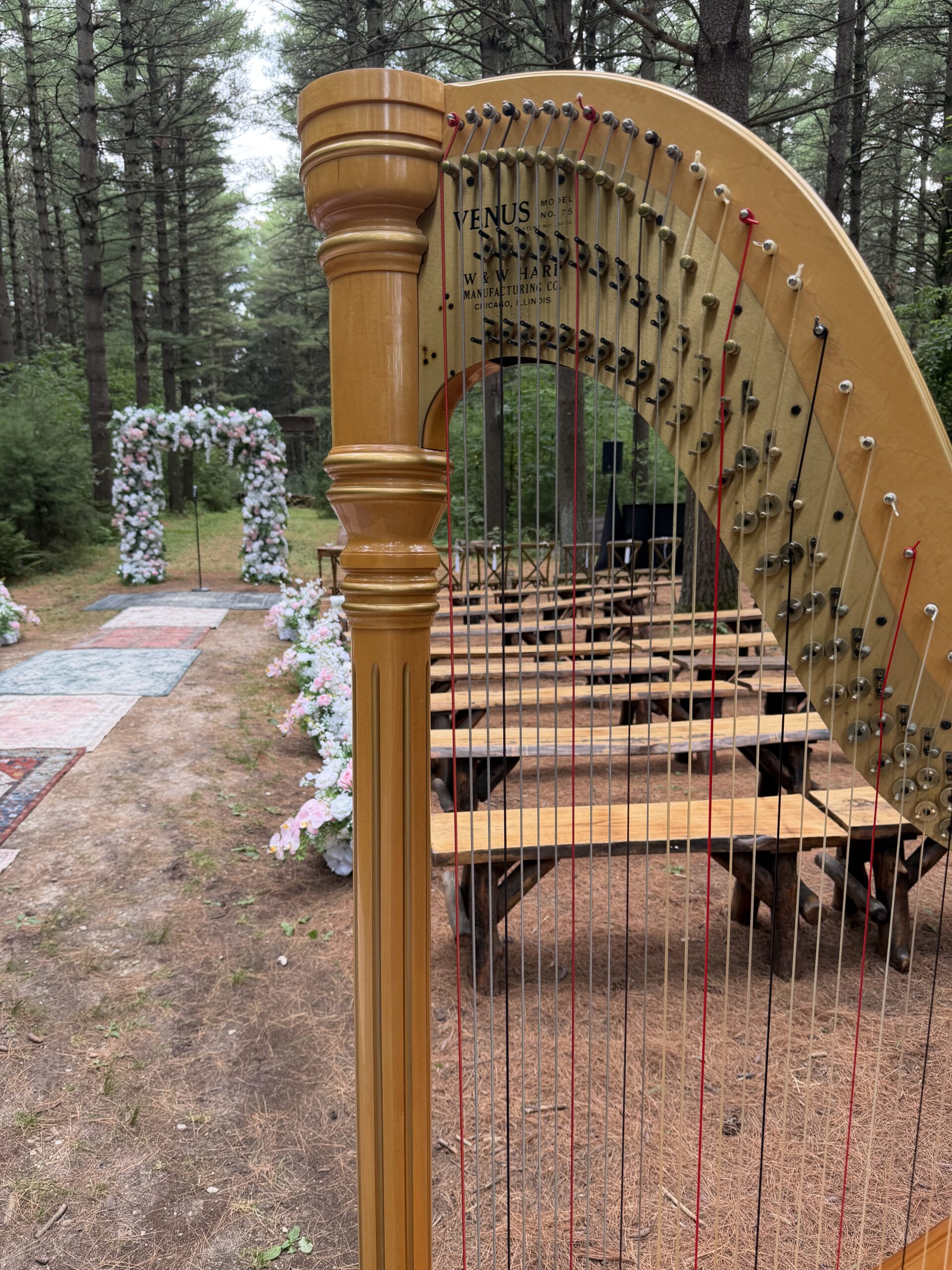 Wisconsin Wedding Harpist