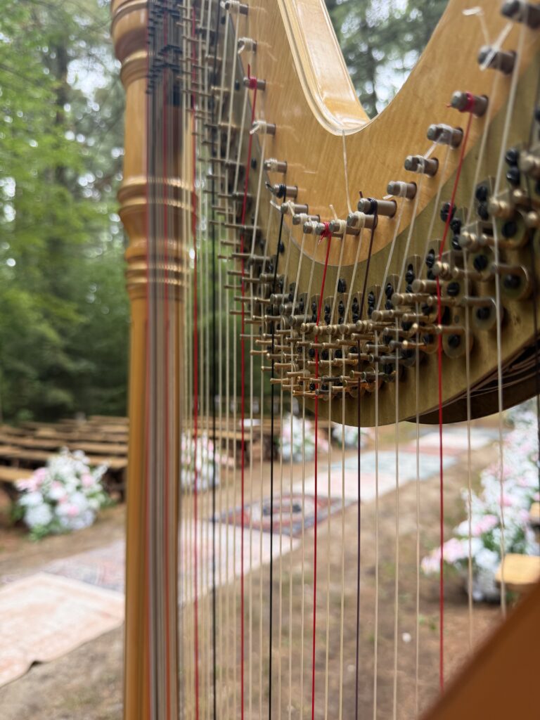 Milwaukee Wedding Music