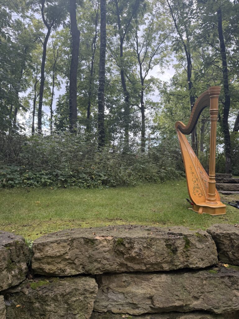 Wedding Musicians in Galena