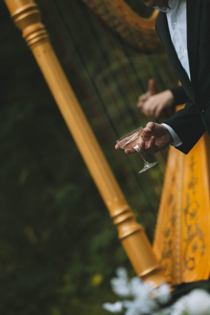 Wedding Ceremony Music Galena IL
