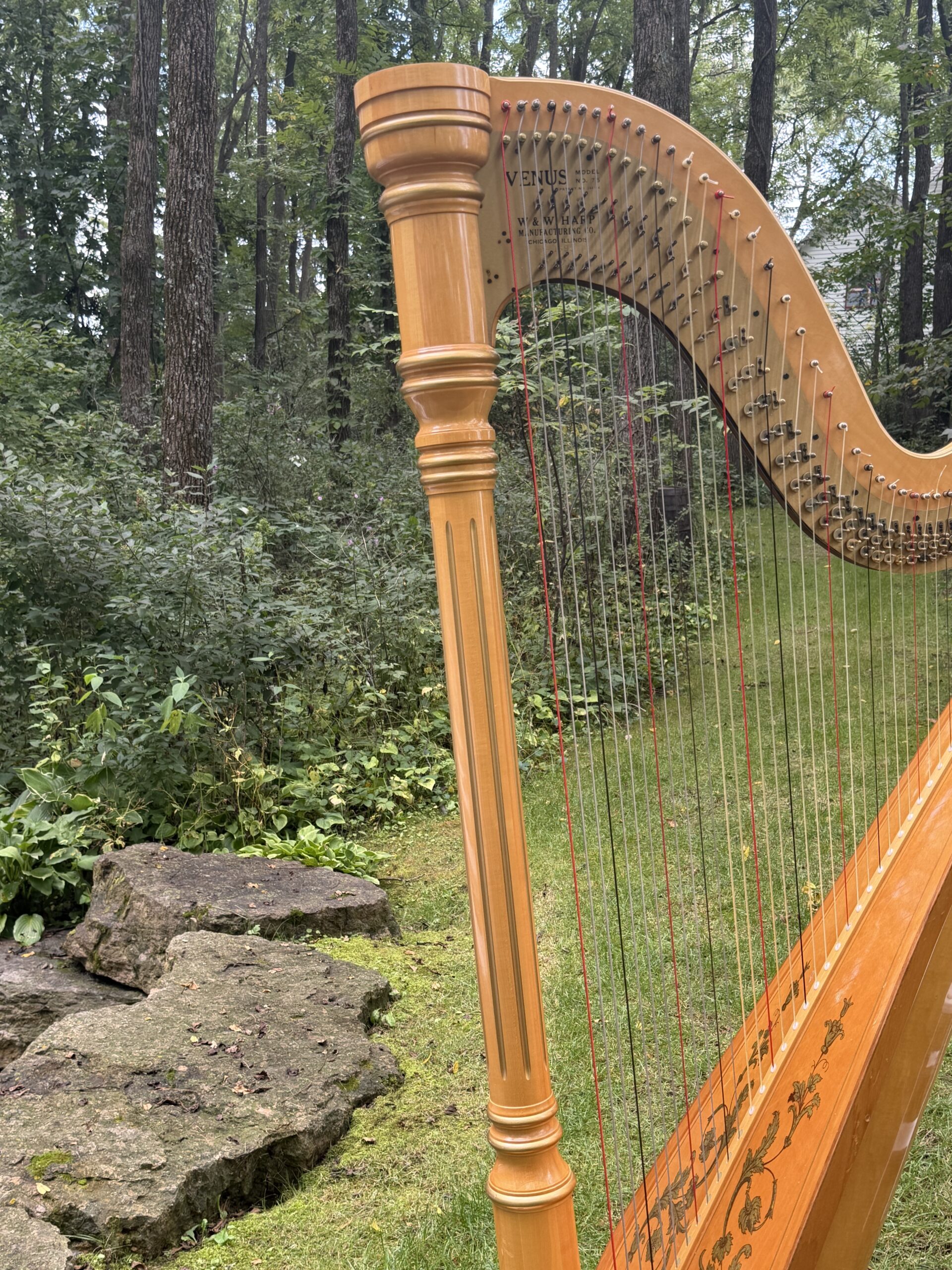 Galena Wedding Music