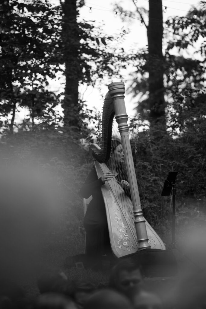 Hire a Harpist in Galena IL
