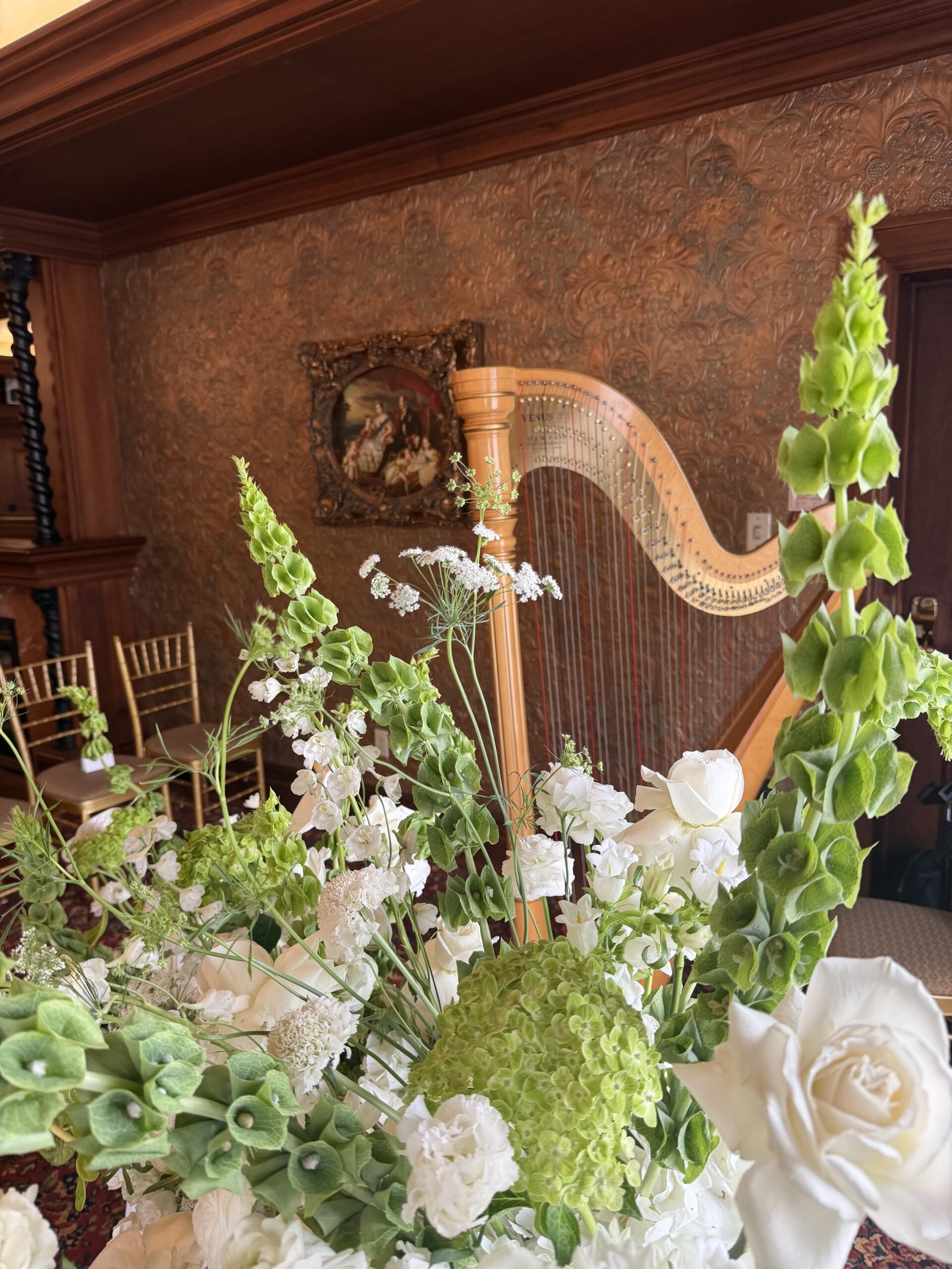 Harpist in Niagara-on-the-Lake
