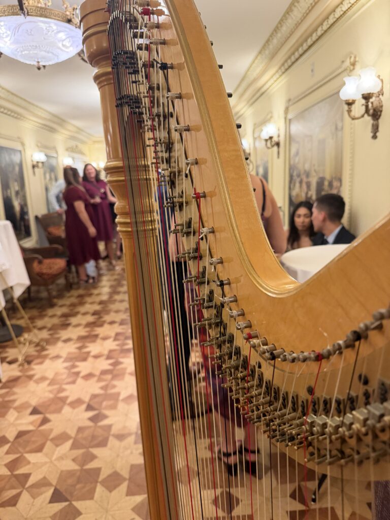 Niagara Falls Harpist for Events