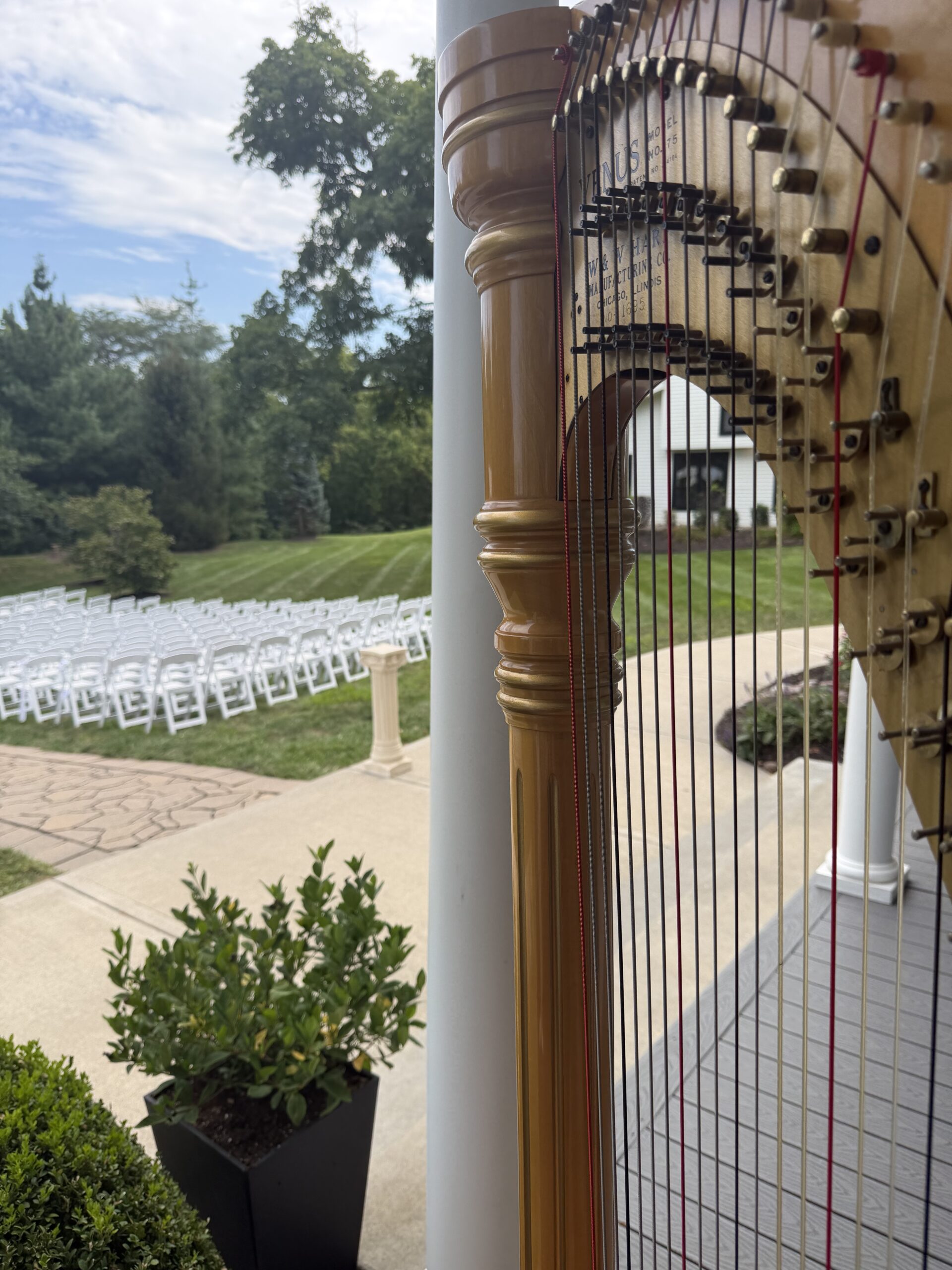 Harp Player Platte City MO