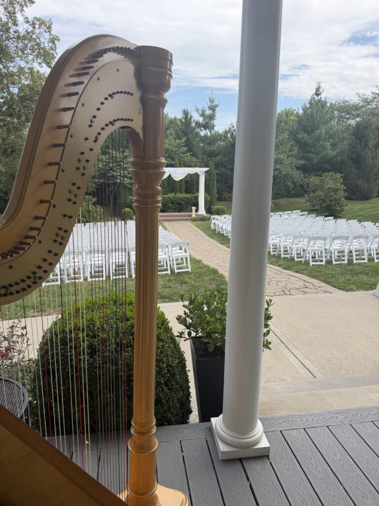 Harpist Kansas City