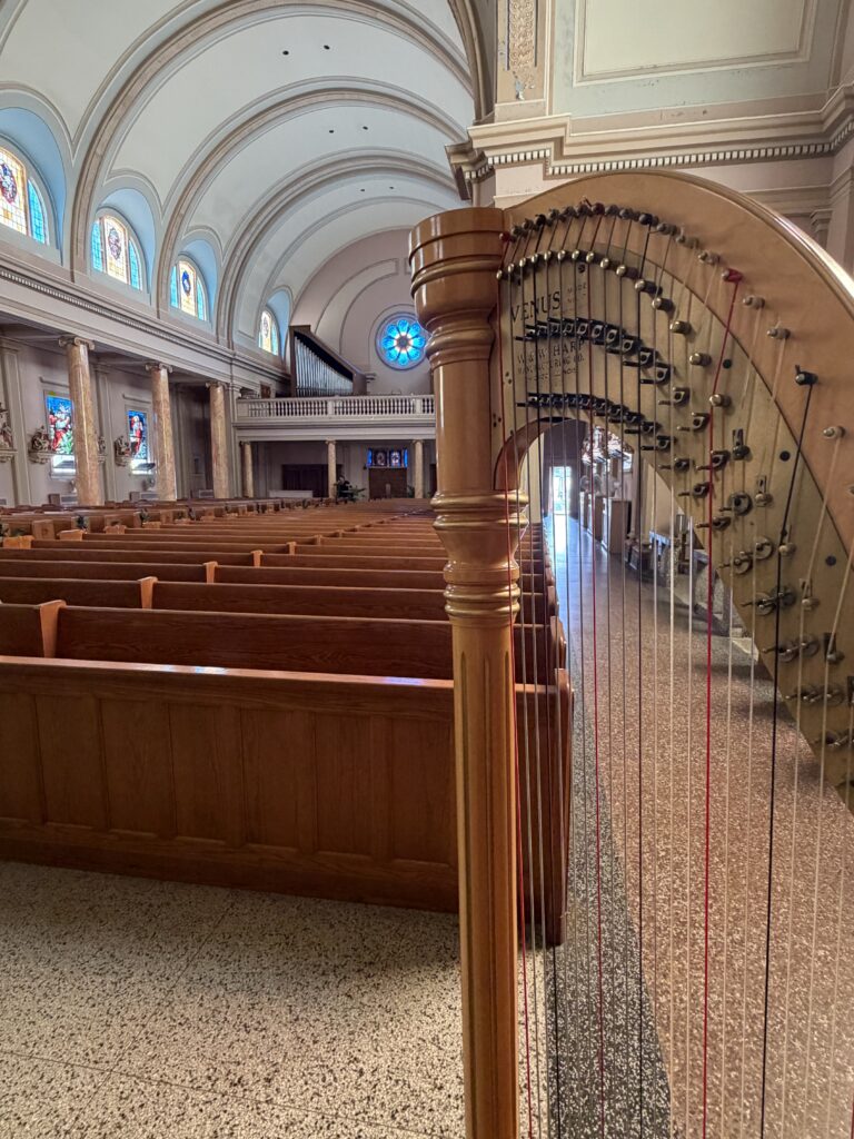Pana Illinois Wedding Harpist