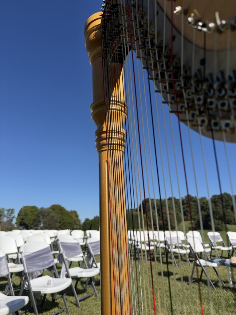 Harp at Proffitt Farm Wedding in Gray Tennessee