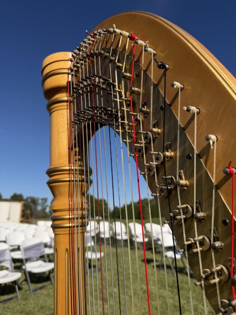 Proffitt Farm Fall Wedding Harpist