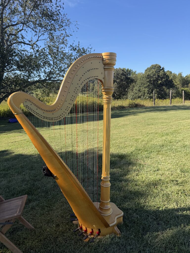 Wedding Harpist East Tennessee
